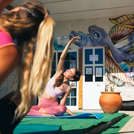 Sun - Surf Camp &
